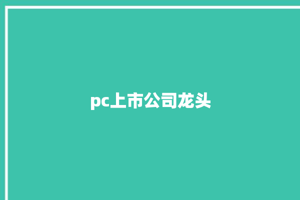 pc上市公司龙头