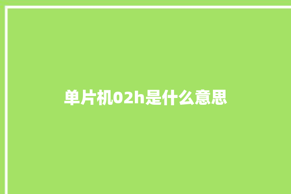 单片机02h是什么意思