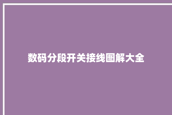 数码分段开关接线图解大全