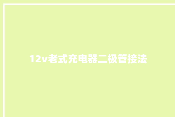 12v老式充电器二极管接法