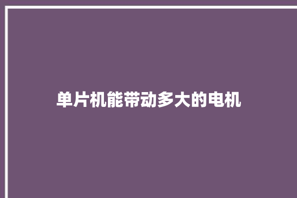 单片机能带动多大的电机