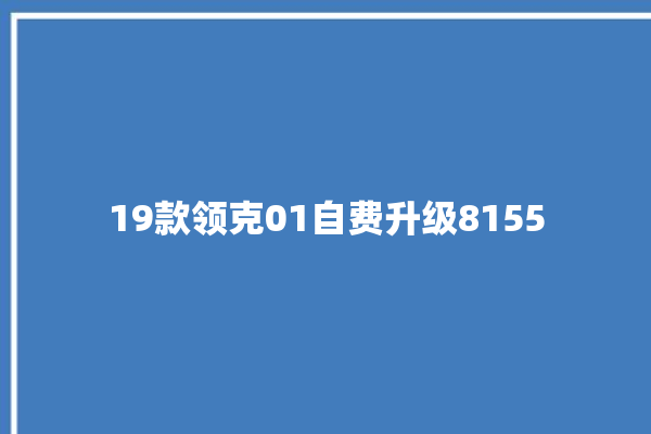 19款领克01自费升级8155