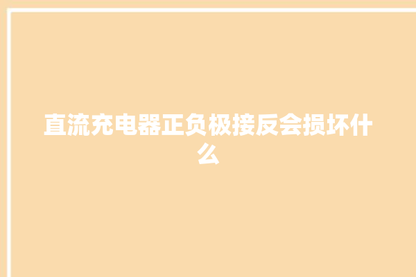 直流充电器正负极接反会损坏什么