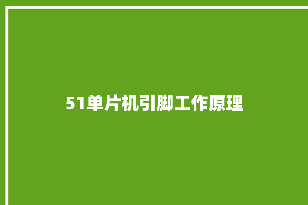 51单片机引脚工作原理