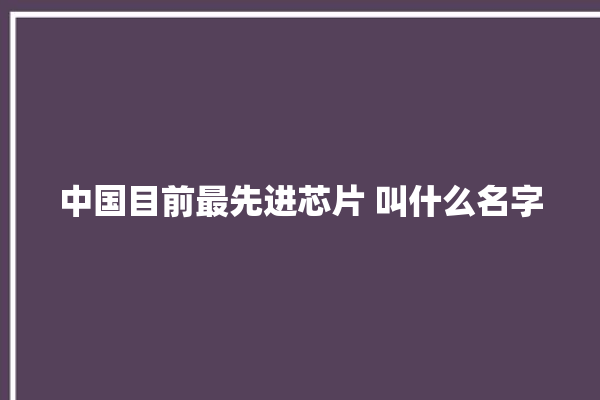 中国目前最先进芯片 叫什么名字