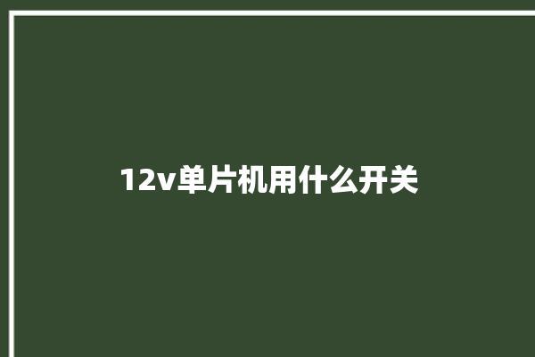 12v单片机用什么开关