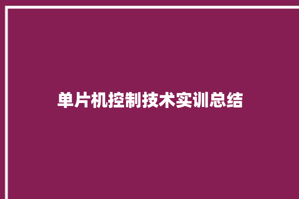 单片机控制技术实训总结