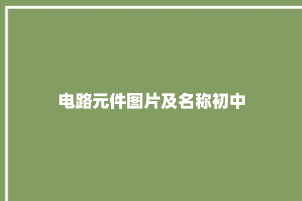 电路元件图片及名称初中