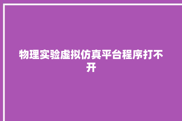 物理实验虚拟仿真平台程序打不开