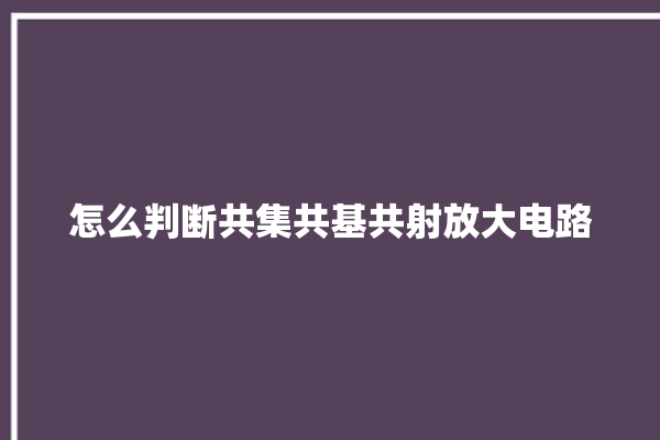 怎么判断共集共基共射放大电路