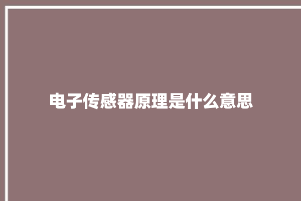 电子传感器原理是什么意思