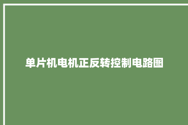 单片机电机正反转控制电路图