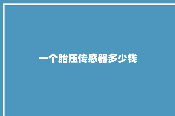 一个胎压传感器多少钱