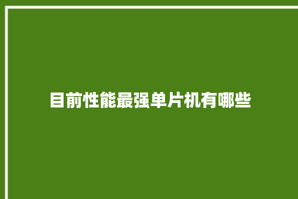 目前性能最强单片机有哪些