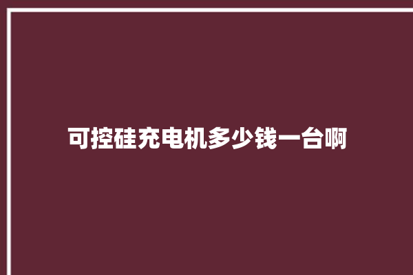 可控硅充电机多少钱一台啊