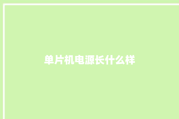 单片机电源长什么样