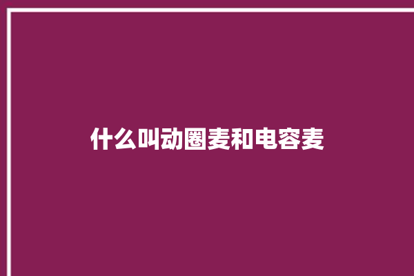 什么叫动圈麦和电容麦