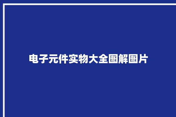 电子元件实物大全图解图片