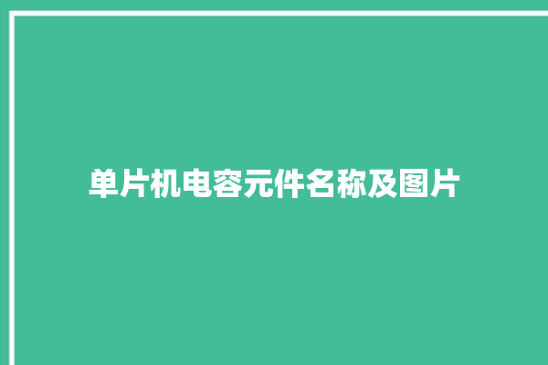 单片机电容元件名称及图片