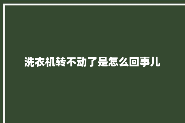 洗衣机转不动了是怎么回事儿