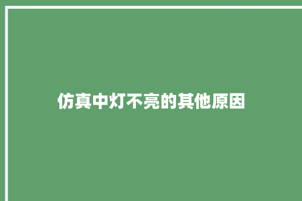 仿真中灯不亮的其他原因