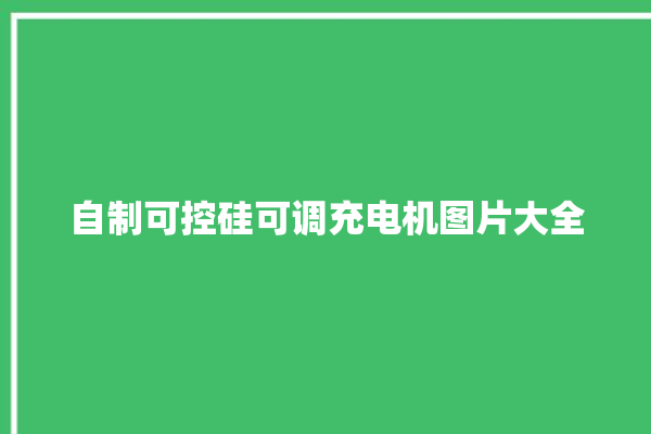 自制可控硅可调充电机图片大全