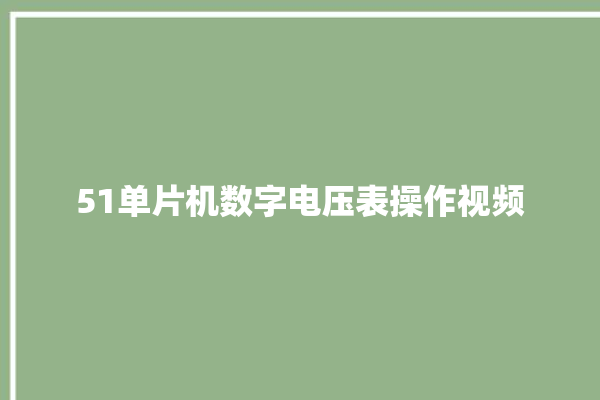 51单片机数字电压表操作视频