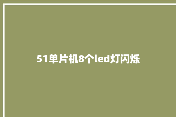 51单片机8个led灯闪烁