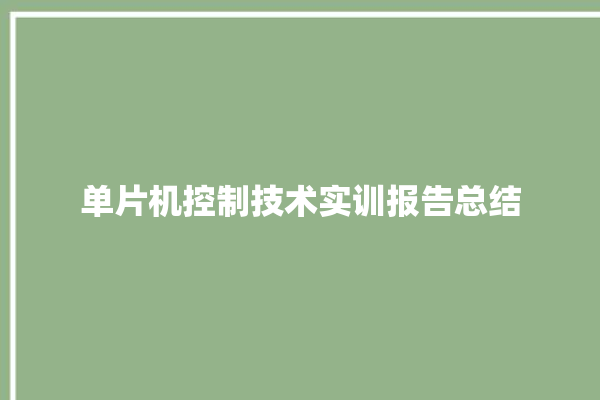 单片机控制技术实训报告总结