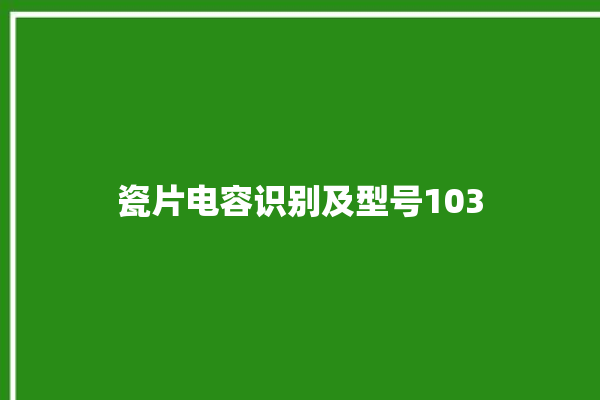 瓷片电容识别及型号103