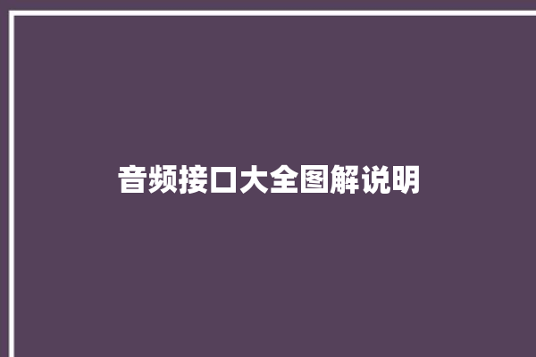 音频接口大全图解说明