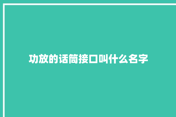 功放的话筒接口叫什么名字