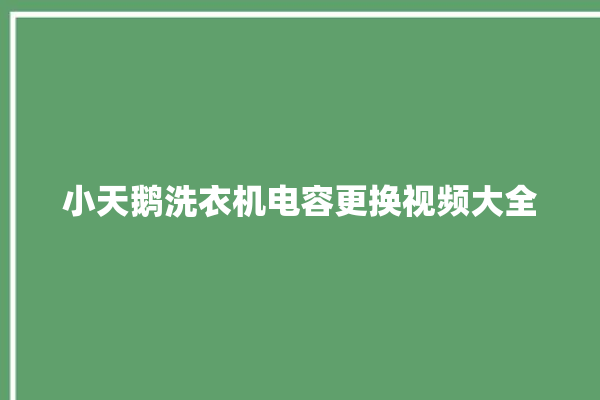 小天鹅洗衣机电容更换视频大全