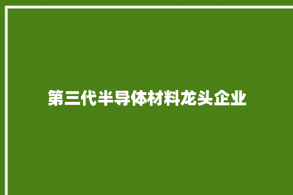 第三代半导体材料龙头企业