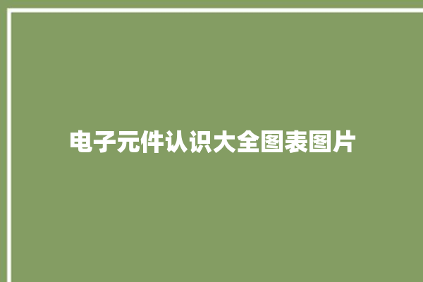 电子元件认识大全图表图片