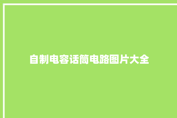 自制电容话筒电路图片大全