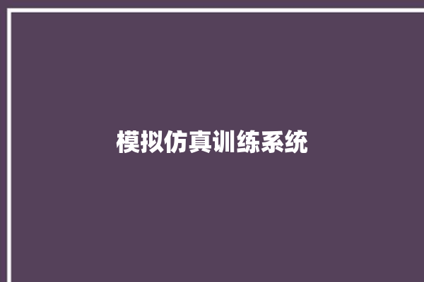 模拟仿真训练系统