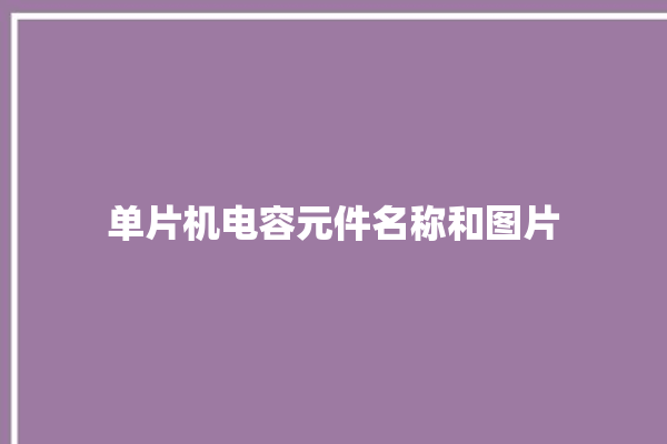 单片机电容元件名称和图片