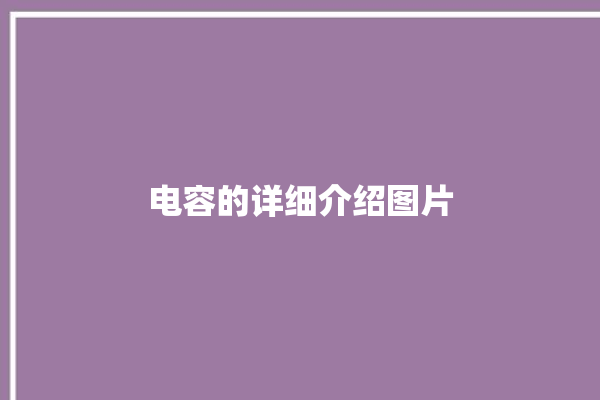 电容的详细介绍图片