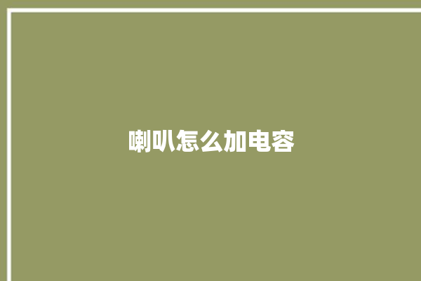 喇叭怎么加电容