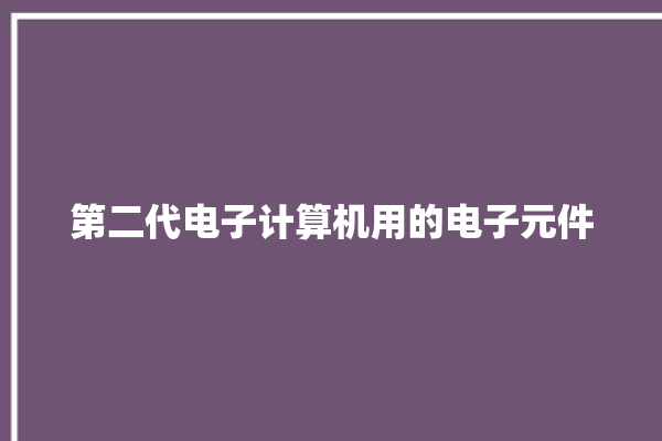 第二代电子计算机用的电子元件