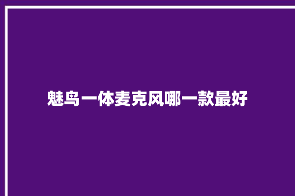 魅鸟一体麦克风哪一款最好