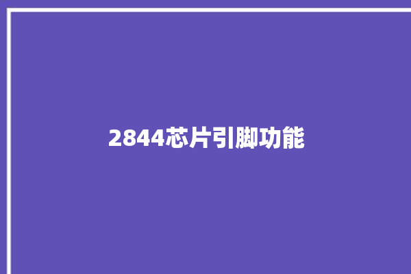 2844芯片引脚功能