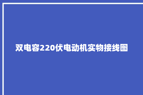 双电容220伏电动机实物接线图