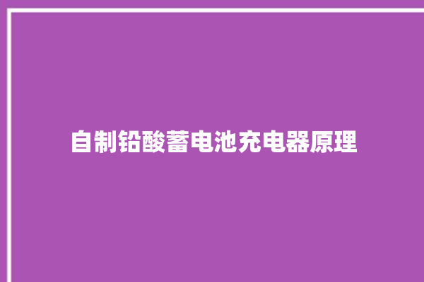 自制铅酸蓄电池充电器原理