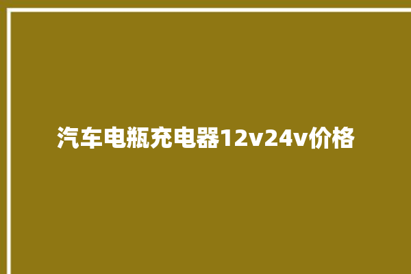 汽车电瓶充电器12v24v价格