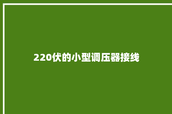 220伏的小型调压器接线