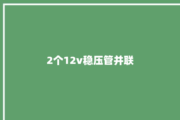 2个12v稳压管并联