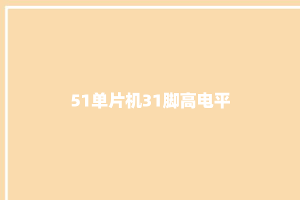 51单片机31脚高电平