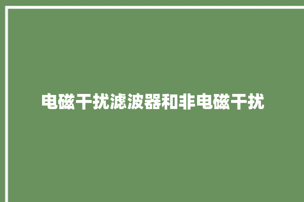 电磁干扰滤波器和非电磁干扰